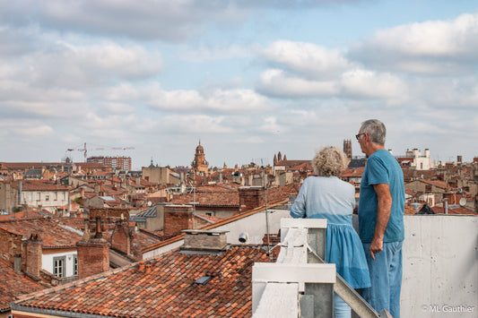 Sur les toit de Toulouse. Le ciel en bleu de Pastel !